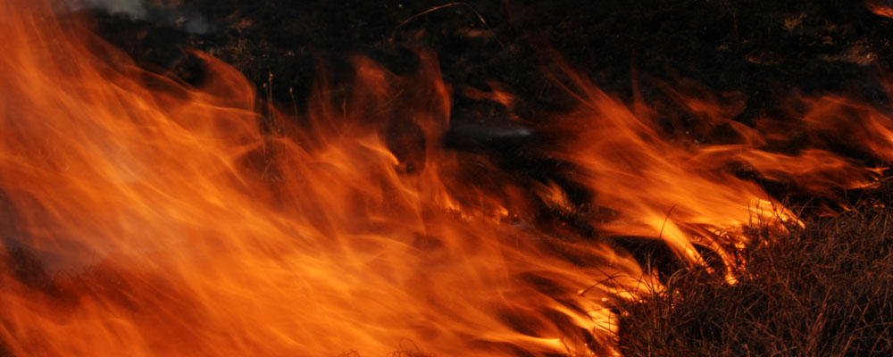 Cape Fire SA, Cape Town Fire Equipment and Services